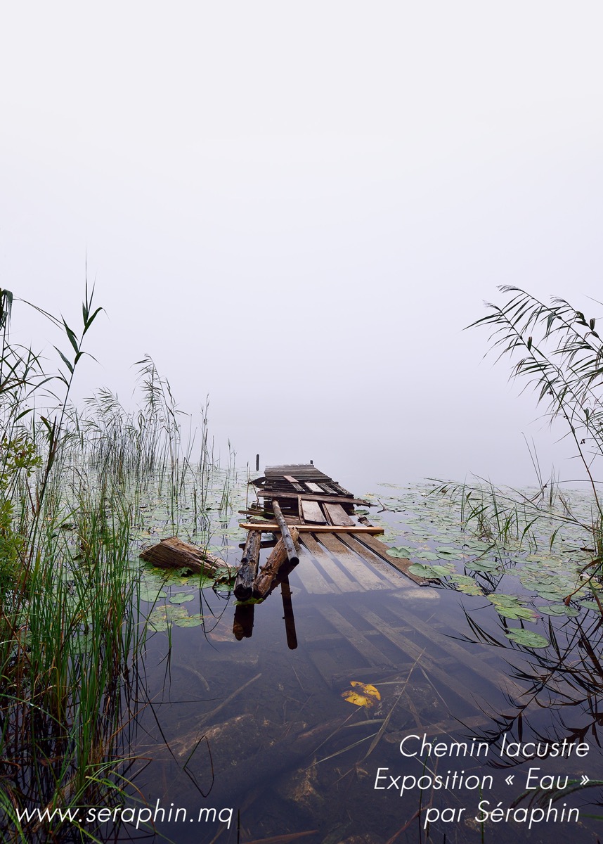 La marque du temps, du vrai chemin te détourne ?
la brume te cache ta destination ?
De ta foi, pourquoi vouloir faire une ristourne ?
Avance, ton guide est ton obstination.