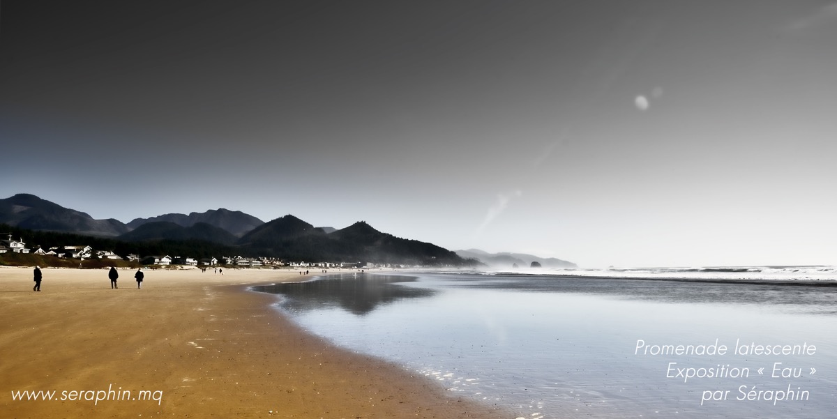 Badauds flânant le long de la grève de sable,
Au flot habituellement intarissable,
Vous paraissez bien épars en cette saison.
Temps béni pour la silencieuse oraison.